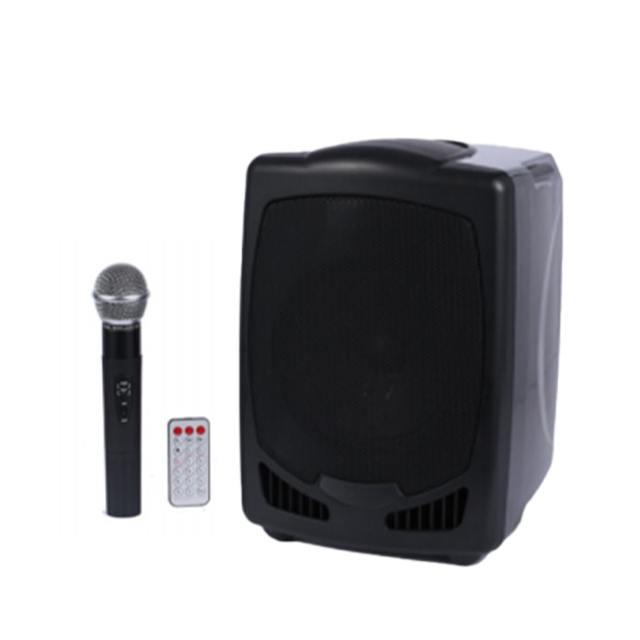 In Stock Professional Portable Rechargeable Party Amplifier Hot Sale Mobile Phone Wireless Amplifier