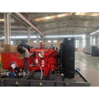 Générateur de courant à gaz domestique à fonctionnement continu écologique 40 kW 60 kW 200 kW 300 kW 400 kW