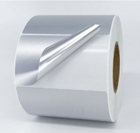 Étiquette vierge en PET argent mat 100*80mm, 40 50 60 70 80 90 100, adhésif anti-sillicon thermofusible, activé à l'eau, imperméable, résistant à l'huile