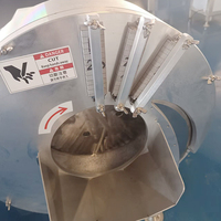 YOUBAN Automatische Fruit- en Groentesnijmachine Aardappel Wortel Mango Snijder/Schaafmachine voor Voedselverwerkingsbedrijven