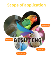Cage à oiseaux pliable en fil de fer, design populaire, pour l'élevage des oiseaux, cage portable de haute qualité, grande cage pour oiseaux