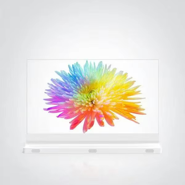 30/55 Inch Transparent OLED SKD Display Digital Signage Touch Ultra Thin Displays Advertising Players Screen Display OLED