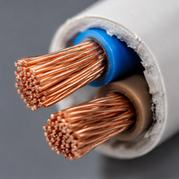 Kabel Listrik Rumah Tangga 2 Inti 18 20 22 24 26 AWG Konduktor Tembaga Multi Inti Fleksibel Kabel Penghubung Listrik