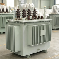 Transformateur triphasé immergé dans l'huile 100 kVA-33 kV.