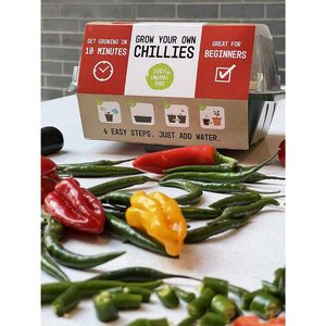 Fila <span class=keywords><strong>de</strong></span> herramientas para jardín <span class=keywords><strong>de</strong></span> verduras, juego <span class=keywords><strong>de</strong></span> herramientas <span class=keywords><strong>de</strong></span> decoración para jardín - Product Image 5