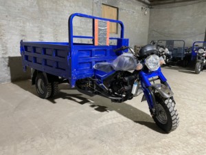 Tricycle agricole à 5 roues <span class=keywords><strong>USA</strong></span>, 250cc 300cc, <span class=keywords><strong>moto</strong></span> cargo robuste - Product Image 1