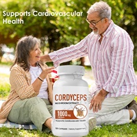 Capsules d'extrait de Cordyceps Sinensis – Complément Herbal 500mg – 100% Champignons Cordyceps Sinensis Entiers – Prix Compétitif