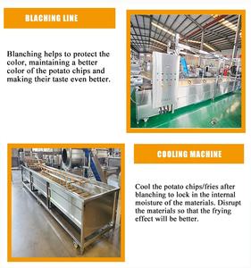 Machine de fabrication de <span class=keywords><strong>frites</strong></span> DY 100-500 KG/H Ligne de production de <span class=keywords><strong>frites</strong></span> Ligne de production complète de <span class=keywords><strong>frites</strong></span> surgelées - Product Image 3