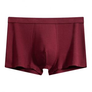 Ropa Interior Masculina de Color Puro, Calzoncillos Bóxer de Algodón Sueltos y Transpirables, Cintura Media, Juveniles, Venta al Por Mayor de Fábrica - Product Image 1