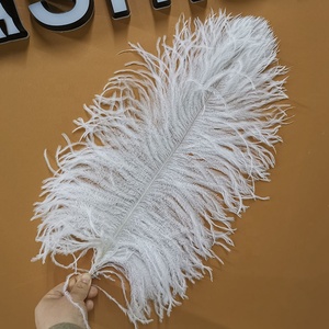 Vente en gros de grandes <span class=keywords><strong>plumes</strong></span> d'autruche <span class=keywords><strong>blanches</strong></span> pour décoration de mariage, artisanat, centre de table de fête de carnaval, motif teint - Product Image 5