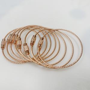 Rivestimento in Pvc cavo portachiavi cavo <span class=keywords><strong>filo</strong></span> in acciaio inossidabile anello rotondo Svrew <span class=keywords><strong>filo</strong></span> di acciaio rivestito in Nylon trasparente/bianco portachiavi - Product Image 6