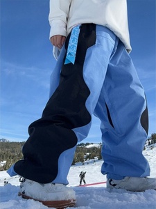Pantalons de ski OEM pour femmes, pantalons de neige pour le ski, sports de neige en plein air pour femmes, vêtements de sport populaires - Product Image 2