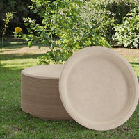 Assiettes jetables modernes en bagasse de canne à sucre compostables pour la maison, les restaurants et les repas quotidiens