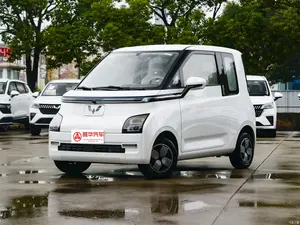 2023 ขายร้อนราคาถูก Wuling Air EV ไฟฟ้ารถยนต์ใหม่รถยนต์ขนาดเล็กรุ่นต่างประเทศ Wuling Air พลังงานยานพาหนะสําหรับผู้ใหญ่