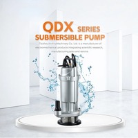 QDX Tauchpumpe für sauberes Wasser, Hochleistungs-Kleinwasserpumpe mit Schwimmerschalter, automatischer Start/Stopp, OEM