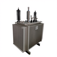 Transformador de Distribución Sumergido en Aceite de Alta Tensión 35kV con Bobinado de Cobre para Proyectos de Suministro de Energía Eléctrica (Oferta Especial)