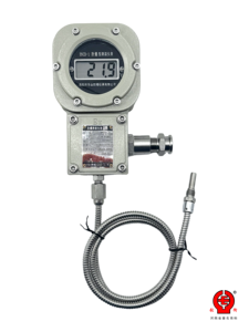 Ex d IIC T6 Flameproof Digital Temperature Gauge Battery Powered Pt100 RTD IP66 Stainless Steel <strong>Probe</strong> - Product Image 4