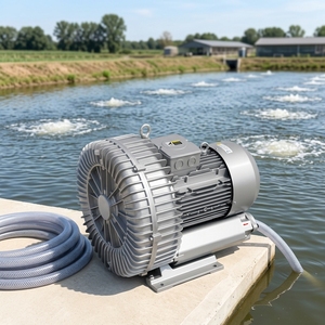 Soplador de Anillo Industrial de Alta Presión con Compresión de 220-260mbar para Aireación de Estanques de Peces y Acuicultura - Product Image 2