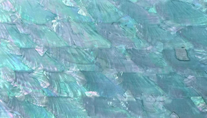 Fogli di Conchiglia Marina Naturale Madreperla all'Ingrosso con Opzioni di Colori e Spessore Multipli per Decorazione di Telefoni, Abiti e Borse - Product Image 4