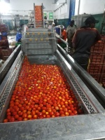 Machine industrielle complète entièrement automatique pour la fabrication de confitures de sauce ketchup Petite ligne de production de pâte de tomate