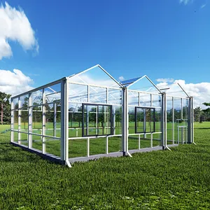 Serre agricole intelligente Holland Cold Frame en verre Agriculture Serre végétale pour tomates concombre laitue