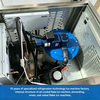 Machine à glace en flocons commerciale en acier inoxydable haute capacité 200kg-1000kg avec compresseur, pompe à eau à économie d'énergie et contrôle PLC