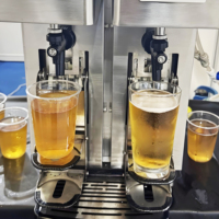Machine à bière automatique 60L, distributeur de bière commercial de comptoir, réglage de la capacité, en acier inoxydable, double tête, pour bière pression professionnelle