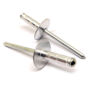 Remache ciego de aluminio/acero de gran venta, muestra de color, todos los modelos - Product Image 1