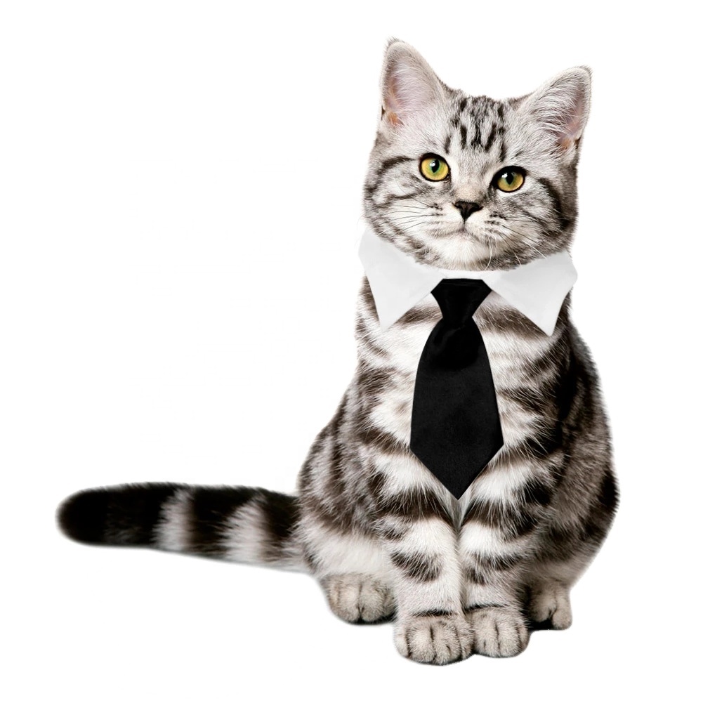 Модный однотонный галстук-бабочка RTS для кошек и собак, регулируемый хлопковый галстук-бабочка для щенков и котят, Официальный галстук-бабочка для питомцев на свадьбу