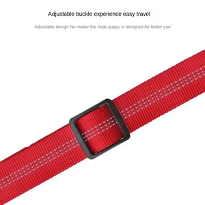 Conjunto de correa de nailon ajustable <span class=keywords><strong>superior</strong></span> para perros Correa ecológica multifuncional resistente para entrenamiento de comportamiento canino y visitas al parque - Product Image 2