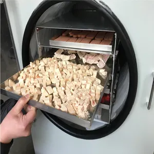 Yüksek kaliteli ev liyofilizasyon ev yapımı yiyecek dondurucu kurutucu ev vakum pompası dondurarak kurutma makinesi