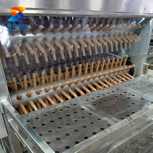 ZB 500Bph küçük kapasiteli kazlar türkiye tavuk ördek kaz saç haşlanma yolma makinesi - Product Image 5
