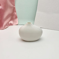 Chinesischer Stil Mini Plastikvase Kreative Topfpflanze Schwarzer Sichtschutz Wohnungseinrichtung Skandinavische Dekorative Blumen Pflanzen
