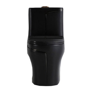 Nouvelles conceptions occidentales – Cuvette de toilettes monobloc en céramique noire, à double chasse, à sortie verticale (S-Trap), pour hôtels, design côtier élégant, à poser au sol - Product Image 4