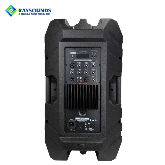 15 Inch 300W Professional Active PA Speaker System with for for Home Theatre Party & Outdoor Use