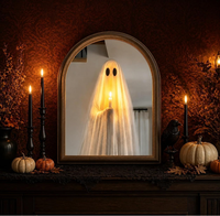Miroir LED fantôme à cadre en bois massif, taille personnalisée, illusion d'Halloween, miroir décoratif mural éclairé