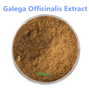 ผงสารสกัดจากกัลเลก้า ออฟฟิซินาลิส ชนิดละลายน้ำได้ อัตราส่วน 4:1 และ 10:1 - Product Image 2