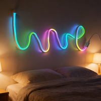 Tiras de Luz de Neón Personalizables con Instalación Flexible, Venta al por Mayor para Decoración del Hogar y Comercial