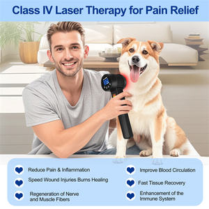 Alat terapi <span class=keywords><strong>Laser</strong></span> merah portabel, perangkat genggam terapi <span class=keywords><strong>Laser</strong></span> merah portabel untuk di mana saja, penyembuhan tisu sebagai peralatan medis untuk hewan peliharaan - Product Image 5
