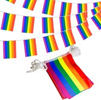 Drapeau arc-en-ciel de la fierté LGBTQ+ en gros, nouveau, élaboré, pour la fierté gay, lesbienne, pansexuelle et bisexuelle