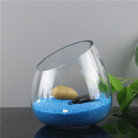 Vase en verre oblique populaire en gros, pot en verre oblique pour plantes aquatiques et mini-fleurs avec décoration de petites pierres