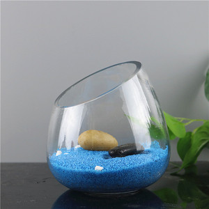Vase <span class=keywords><strong>en</strong></span> <span class=keywords><strong>verre</strong></span> oblique populaire <span class=keywords><strong>en</strong></span> gros, <span class=keywords><strong>pot</strong></span> <span class=keywords><strong>en</strong></span> <span class=keywords><strong>verre</strong></span> oblique pour plantes aquatiques et mini-fleurs avec décoration de petites pierres - Product Image 4