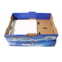 Boîte à agrumes personnalisée avec séparateur pour citron, orange, pamplemousse, pour la distribution au détail
