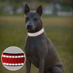 Collar de Nailon Reflectante para Perro, con Acolchado de Neopreno y Anillo en D de Metal Resistente, Venta Caliente del Fabricante - Product Image 3
