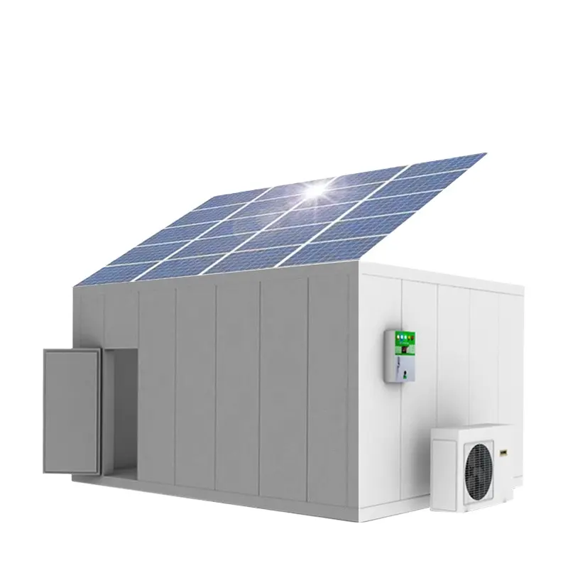 40-ft Container Rechargeable Battery Solar Cold Room Freezer for Meat Fruits Vegetables Fish