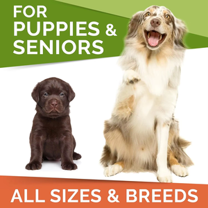 อาหารเสริมบำรุงผิวและเสื้อโค้ทเคี้ยวได้สำหรับสุนัข-โอเมก้า-3อุดมไปด้วยเพื่อสุขภาพผิวที่เงางามและภูมิคุ้มกัน-เคี้ยวรสปลาแซลมอน120 - Product Image 3