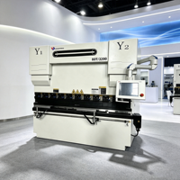 Prensa Plegadora Hidráulica CNC de Precisión Personalizada 80T3200 con Precio Económico