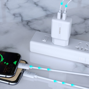 Chargeur USB double port Kakusiga 2.4A avec câble Type-C de 1m pour la charge rapide des appareils - Product Image 6