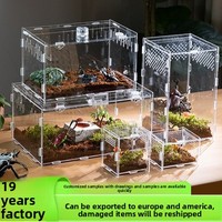 Boîte d'élevage rectangulaire transparente en acrylique personnalisable pour l'élevage de crabes ermites, de geckos et de reptiles – Kit d'assemblage