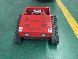 Cortadora de Césped a Gasolina con Control Remoto y Pala para Nieve, Ancho de Corte de 55 cm, Certificación CE, EPA e ISO - Product Image 3